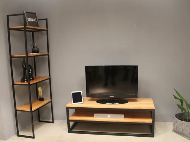 Sala moderna con estantería de metal y madera, televisión sobre mueble bajo, y planta decorativa.