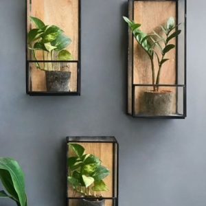 Estanterías flotantes de madera y metal negro, exhiben macetas con plantas, creando un diseño moderno y minimalista en la pared gris.